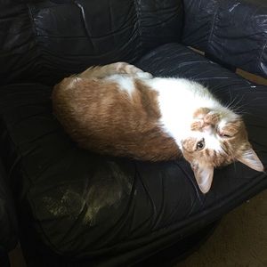 Meet your Posher, Teri